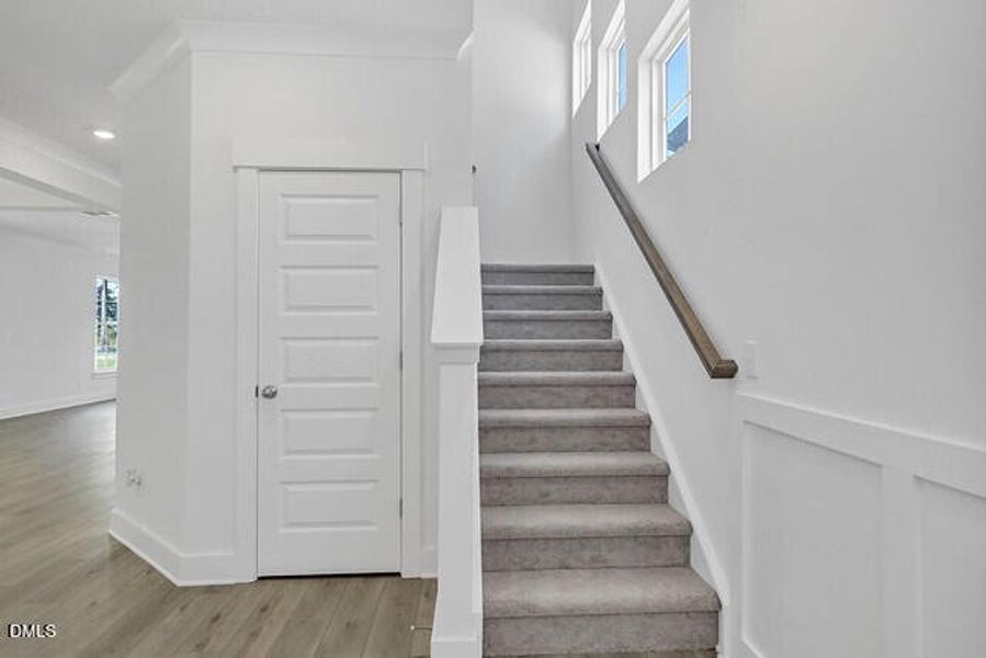 54868824676_3dcfdbfcdf_z