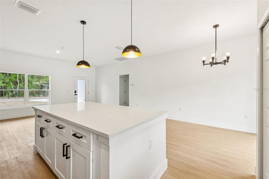 Furnished interior view inside a new home in , Ocklawaha (Image 10).