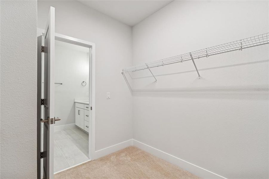 Spacious, unfurnished interior of a new home in Apex at Seminole Heights, Tampa (Image 35). Spacious, unfurnished interior of a new home in Apex at Seminole Heights, Tampa (Image 35).