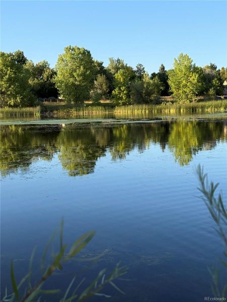 Natural landscape and outdoor views near  in Louisville (Image 33).