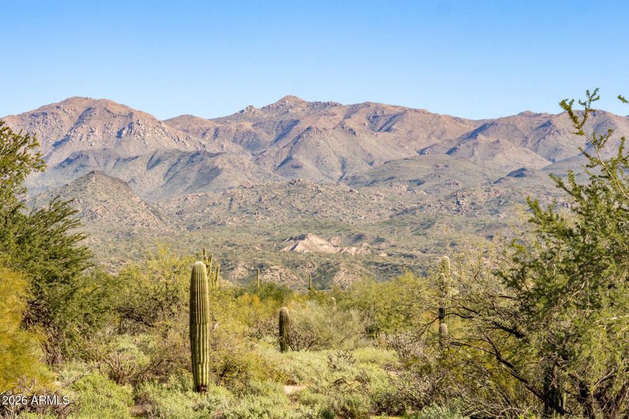 Mountain Views Mountain Views