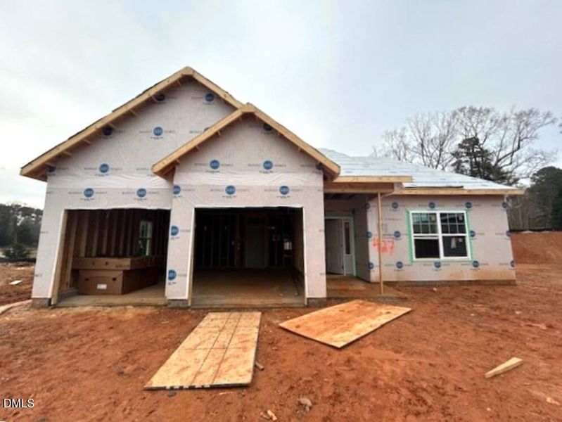 12 Bee Balm (Medium) 12 Bee Balm (Medium)