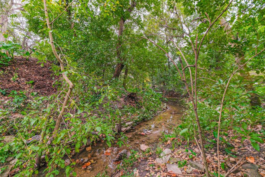 The ravine offers a unique opportunity to enjoy nature in the heart of the city. The ravine offers a unique opportunity to enjoy nature in the heart of the city.