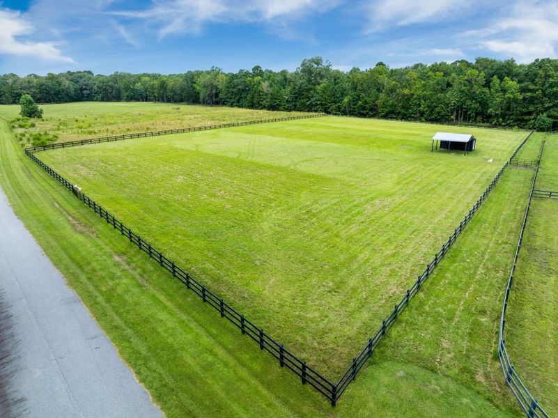 Natural landscape and outdoor views near  in Ravenel (Image 37).