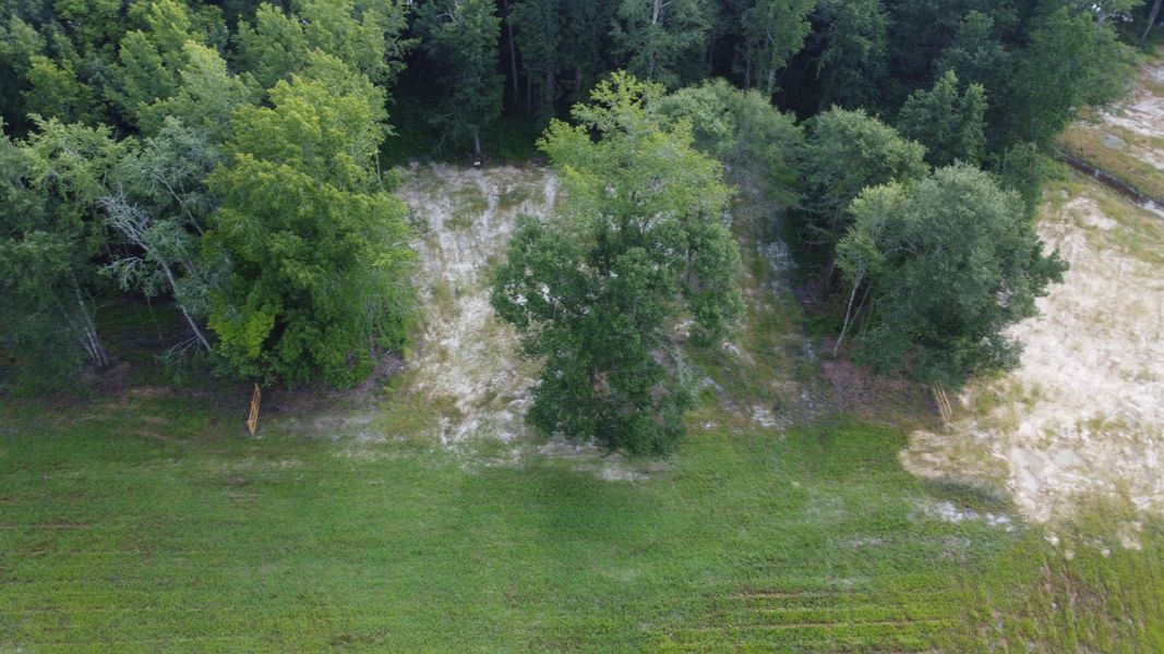 Natural landscape and outdoor views near  in Cross (Image 22).