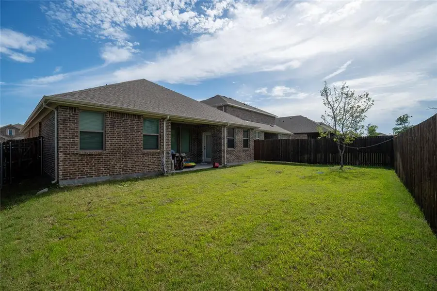 Expansive green lawn with a young tree, bordered by a dark wood privacy fence