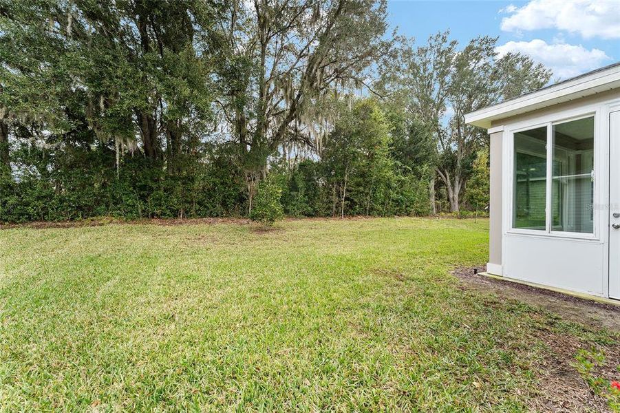 Exterior details and patio area of a home in Liberty Village: Liberty Village - Phase One, Ocala (Image 34).