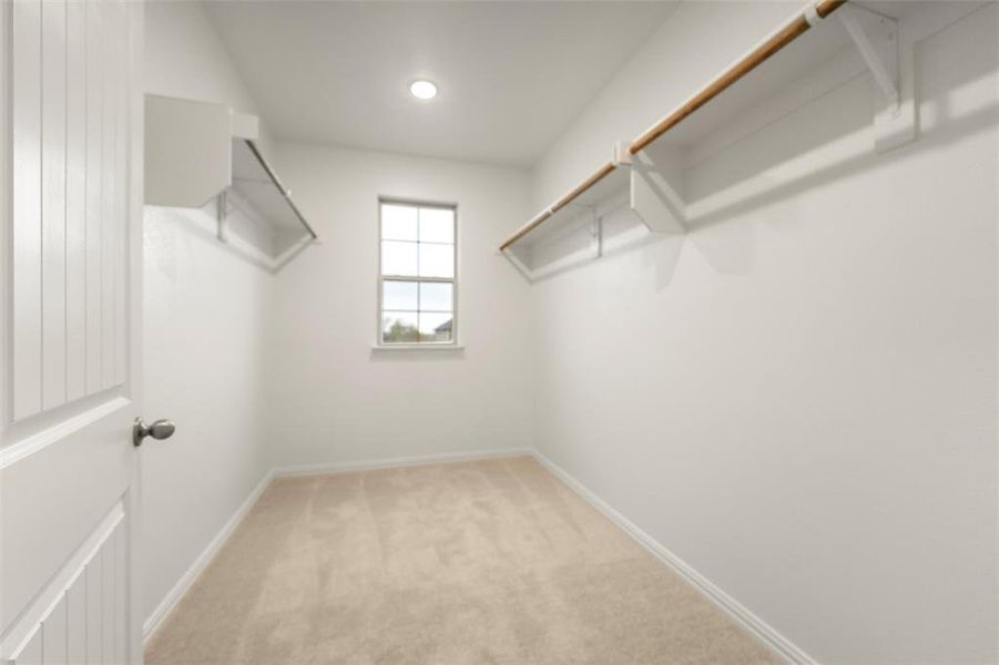 Walk in closet featuring light carpet Walk in closet featuring light carpet