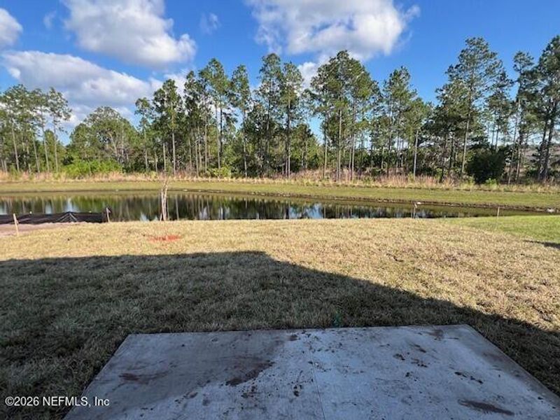 Natural landscape and outdoor views near Sawmill Branch in Palm Coast (Image 49).
