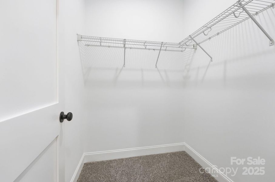 Spacious, unfurnished interior of a new home in , Lexington (Image 39).