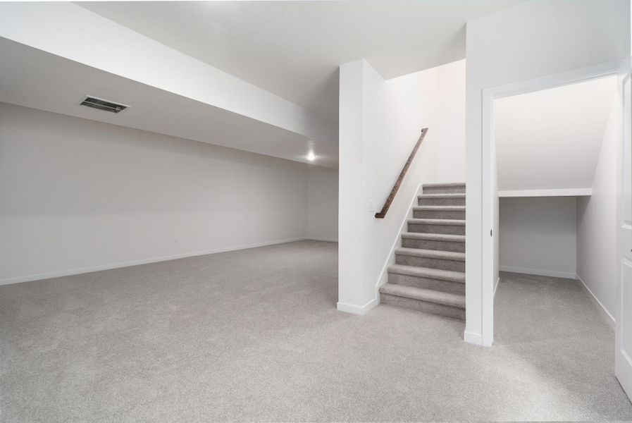 The Thornberry - Basement