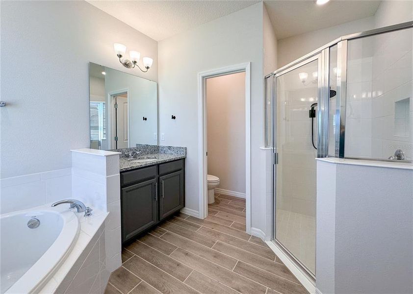 Furnished interior view inside a new home in , Winter Garden (Image 7).