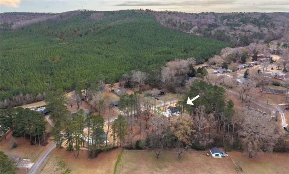 Natural landscape and outdoor views near  in Rome (Image 38).