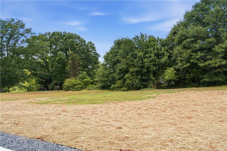 Natural landscape and outdoor views near  in Hiram (Image 28).