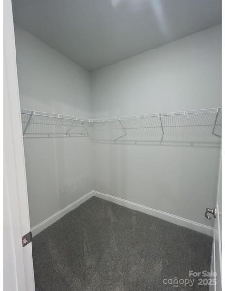 Spacious, unfurnished interior of a new home in Crystal Village, Albemarle (Image 14).