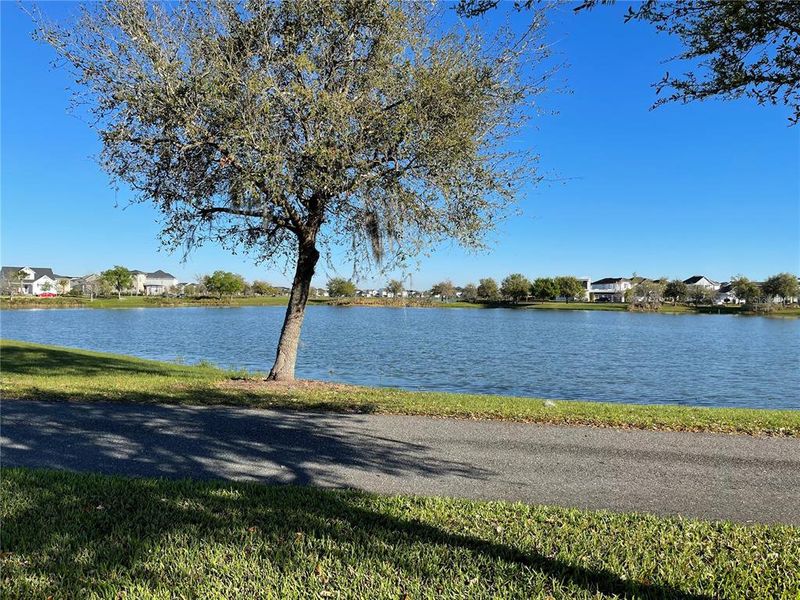 Natural landscape and outdoor views near  in Orlando (Image 46).