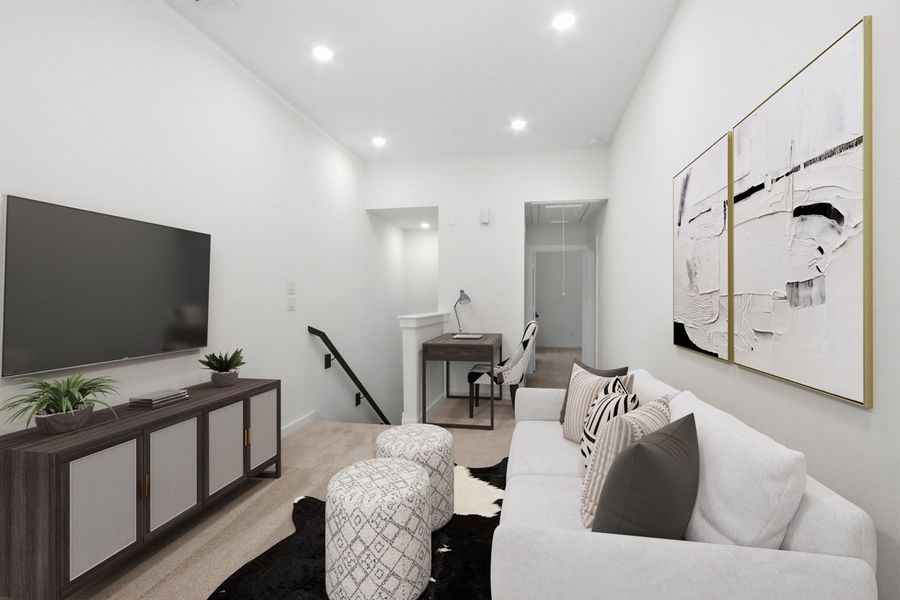 Entertainment Room