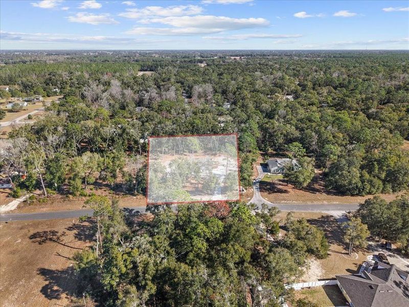 Site preparation for new homesites in , Chiefland (Image 54).