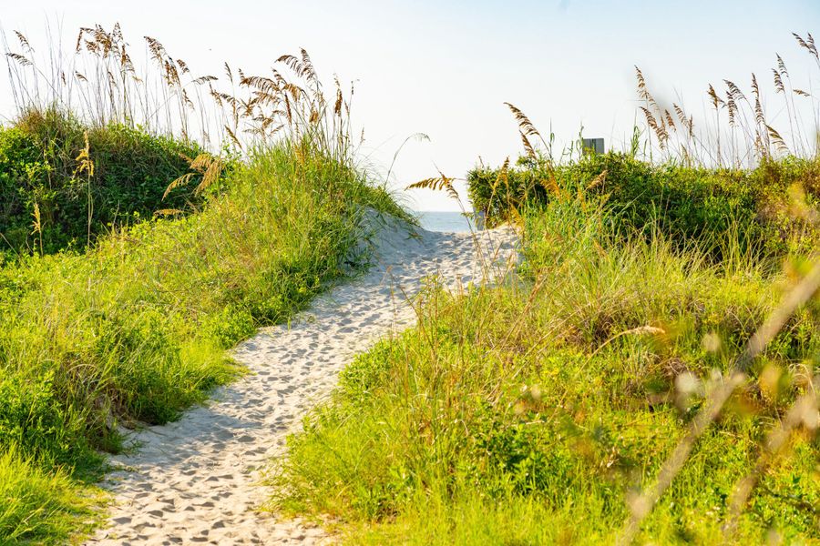 Natural landscape and outdoor views near  in Isle Of Palms (Image 64).