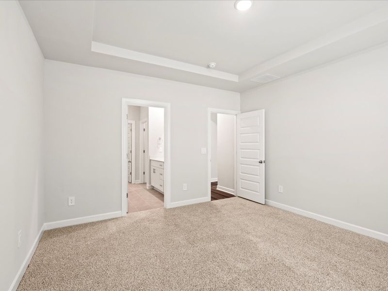 Welcome to the Buchanan floorplan at Holland Park.