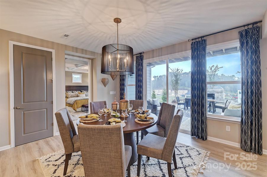 REPRESENTATIVE PHOTO