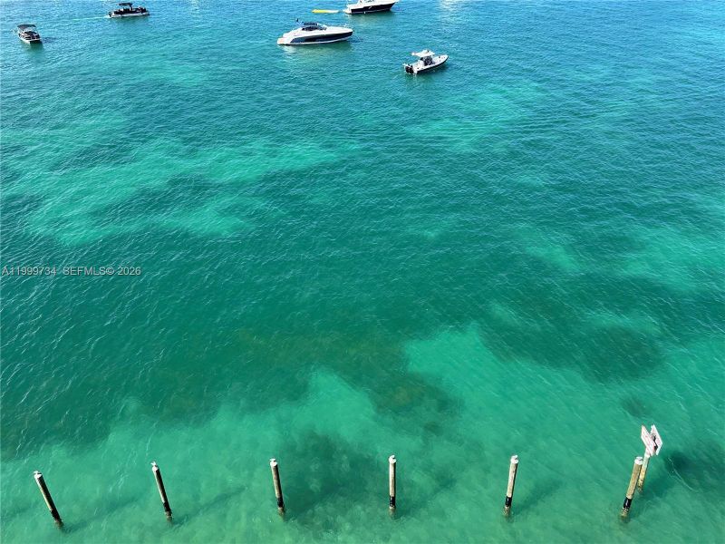 Natural landscape and outdoor views near  in Bay Harbor Islands (Image 57).