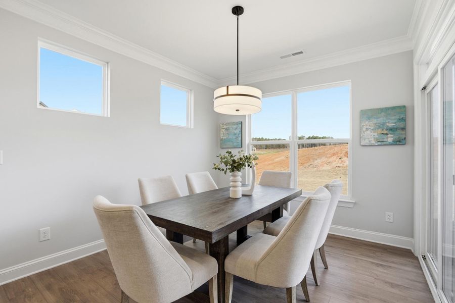 Furnished interior view inside a new home in Carrington, Stanley (Image 19).
