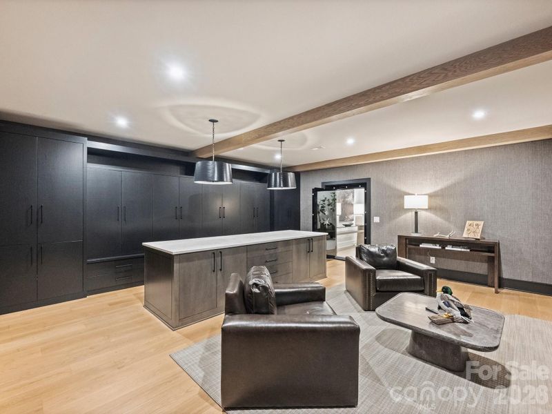 Collectors room with Safe door entry