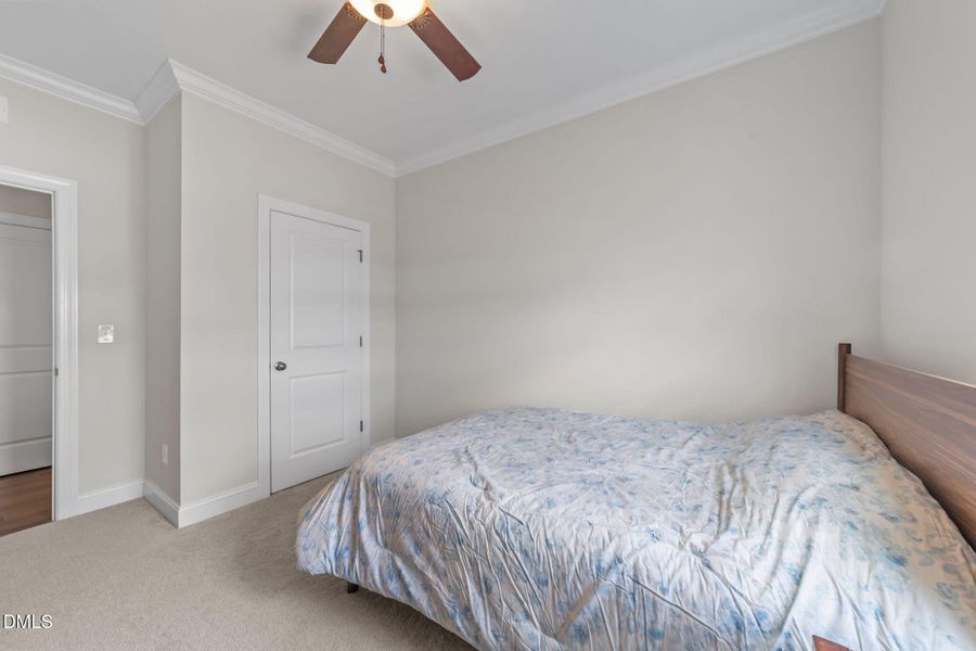 33-web-or-mls-VB4A0592