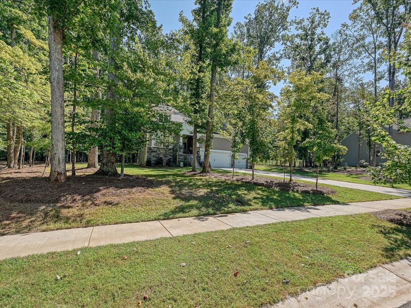 Welcome Home! Welcome Home!