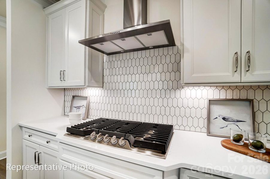 Close-up of interior finishes inside a home in Heritage - 55+ Community, Indian Trail (Image 19).