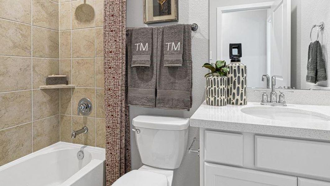 REPRESENTATIVE PHOTO