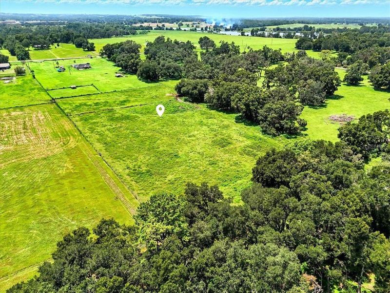 Natural landscape and outdoor views near  in Dade City (Image 26).