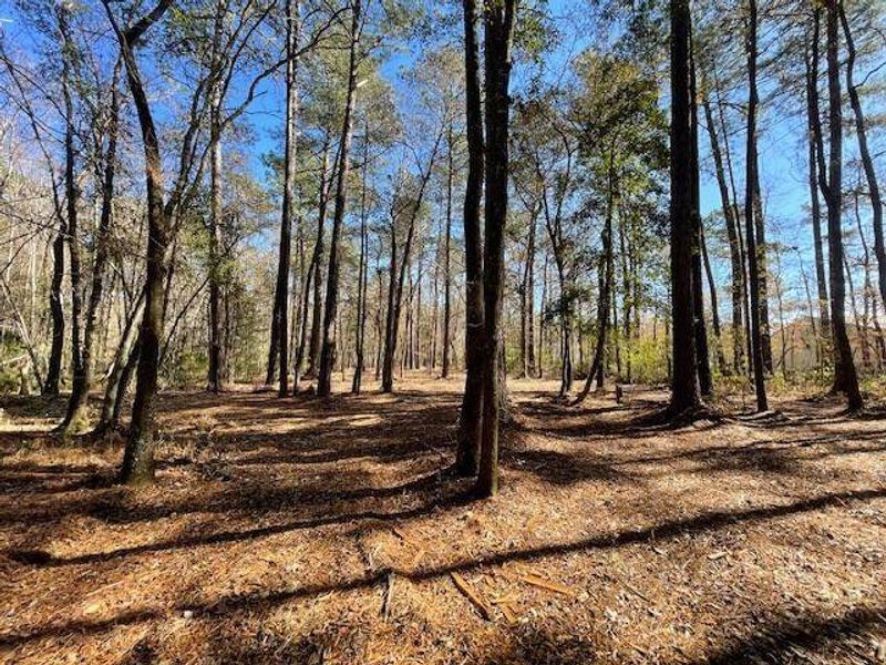 Natural landscape and outdoor views near  in Summerville (Image 18).
