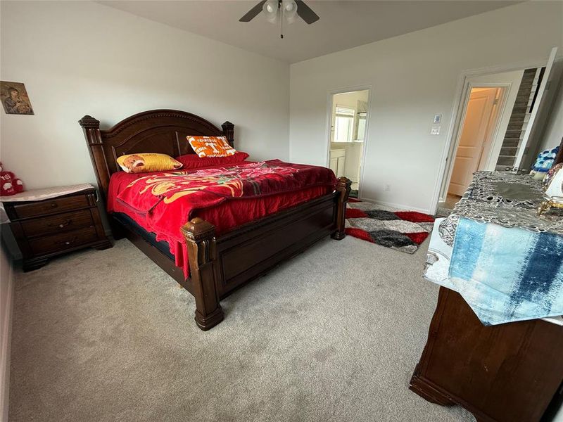 Carpeted room with a ceiling fan