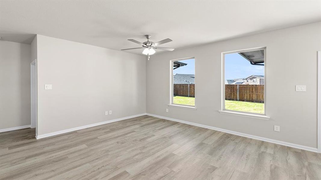 15. 3100 Areca - Family 15. 3100 Areca - Family