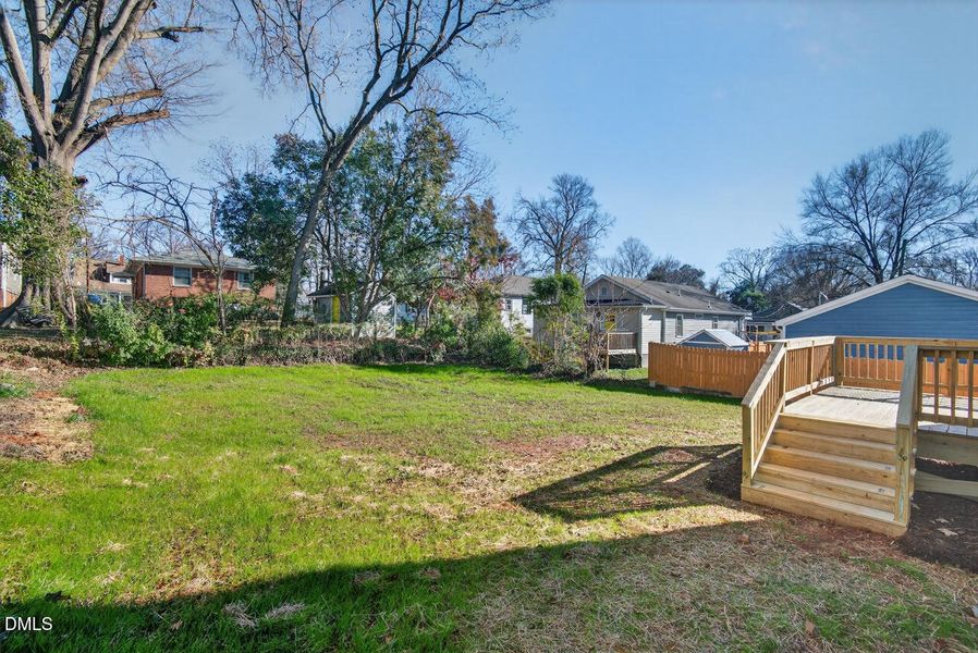 The Backyard The Backyard