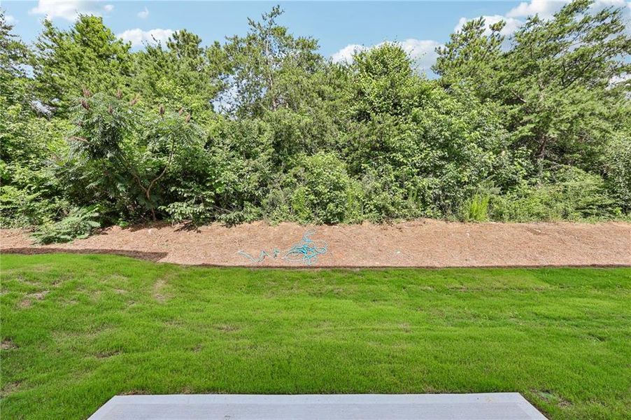 Natural landscape and outdoor views near Artisan Walk in Fairburn (Image 32).