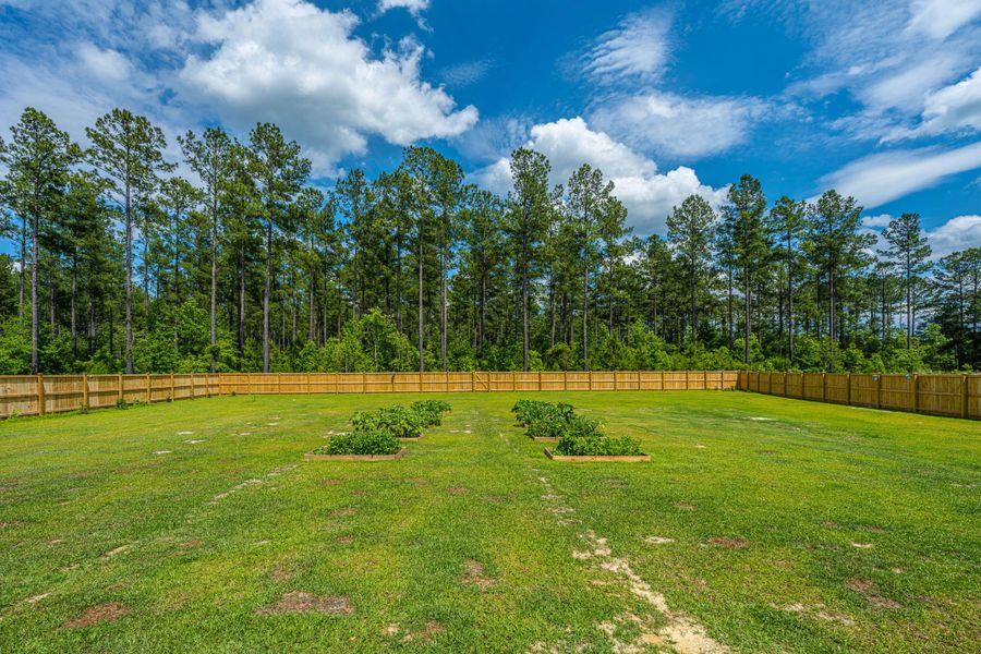 Natural landscape and outdoor views near French Quarter Creek in Huger (Image 60).