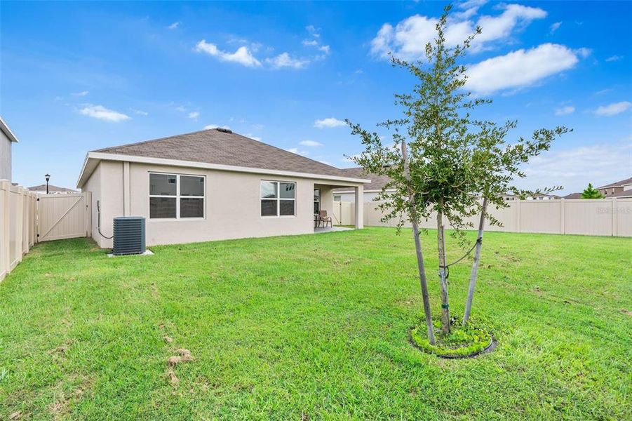 Window Tint Added to Improve Energy Efficiency