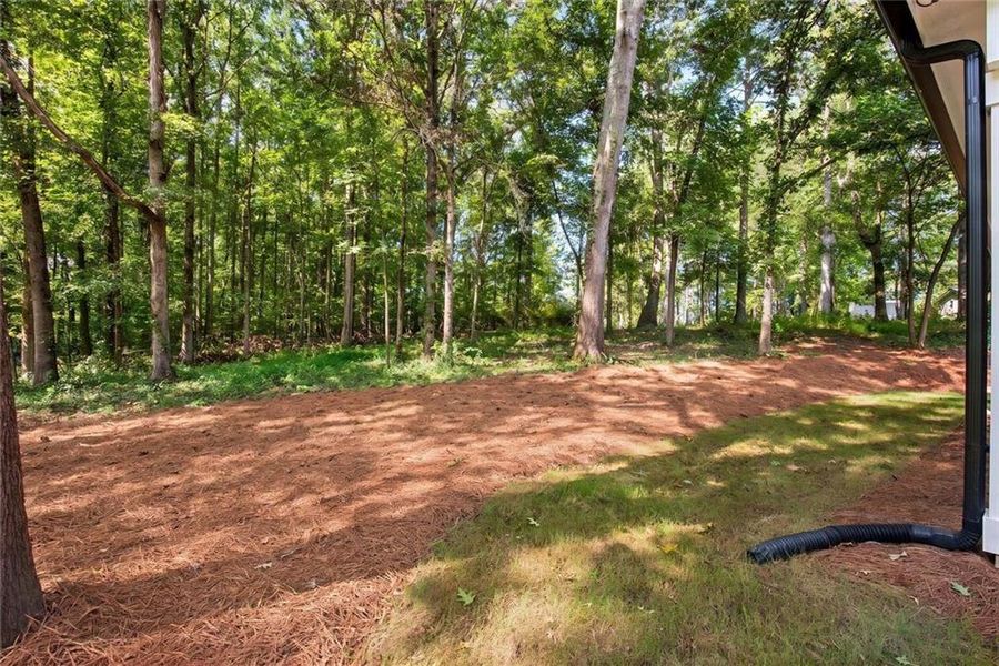 Natural landscape and outdoor views near in Dallas (Image 44). Natural landscape and outdoor views near in Dallas (Image 44).