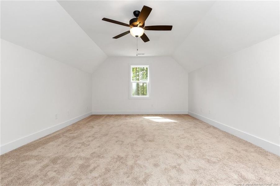 bonus room bonus room