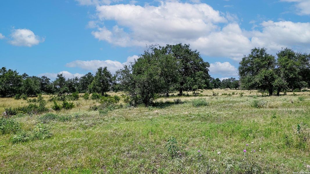 Natural landscape and outdoor views near The Preserve at Elm Creek in New Braunfels (Image 7). Natural landscape and outdoor views near The Preserve at Elm Creek in New Braunfels (Image 7).