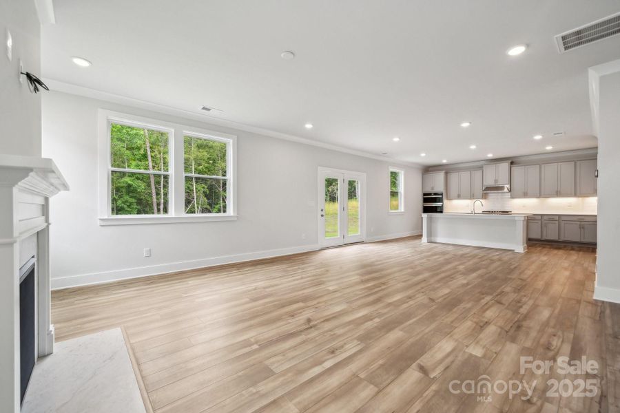 Representative picture