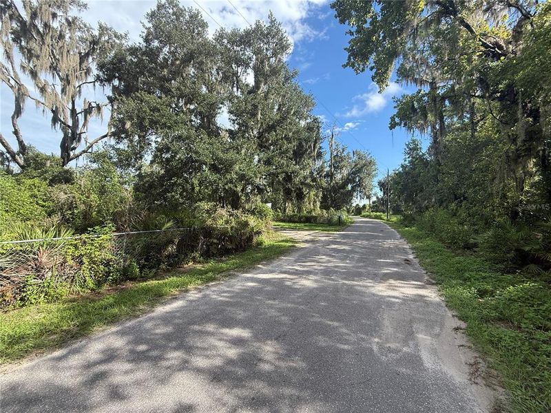 Natural landscape and outdoor views near  in Parrish (Image 16).