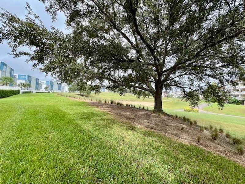 Natural landscape and outdoor views near  in Reunion (Image 8).