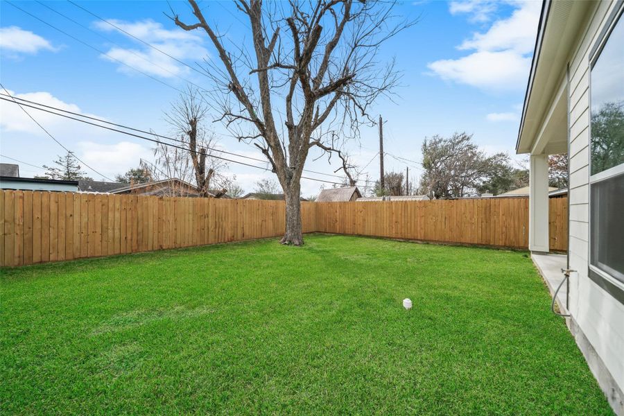 Backyard