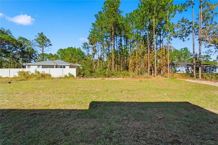 Natural landscape and outdoor views near  in Ocala (Image 30).