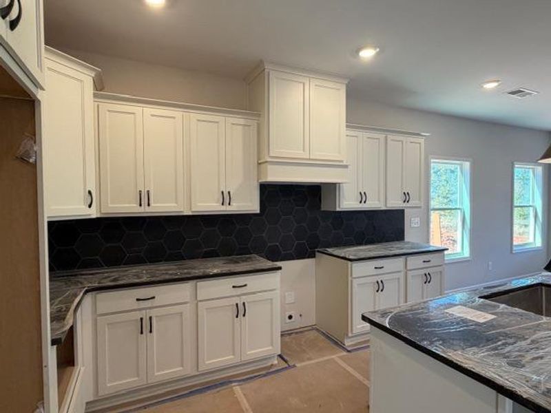 Furnished interior view inside a new home in Blackwelder Bluff, Bowdon (Image 3).
