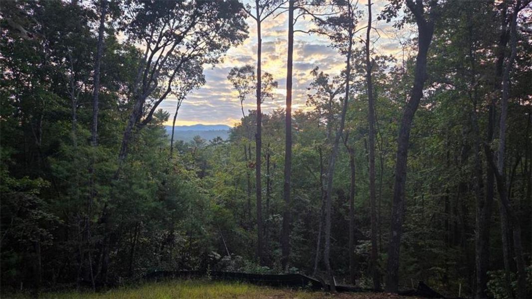 Natural landscape and outdoor views near  in Ellijay (Image 64).